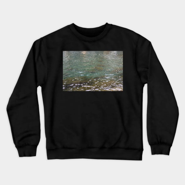 Shallow Ocean Water, Sea Weed, Nature Photography Crewneck Sweatshirt by Tenpmcreations